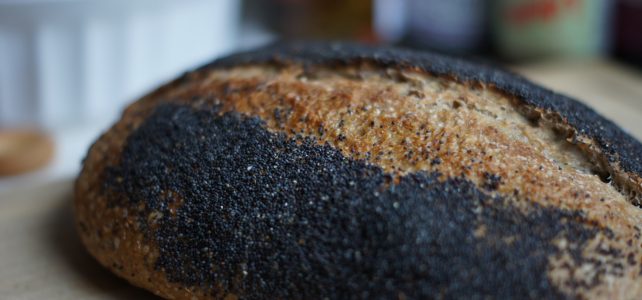 For Flavour Hunters Only: Why Spent Grain Bread Has Chefs Obsessed photo-credit-Kira-Popova