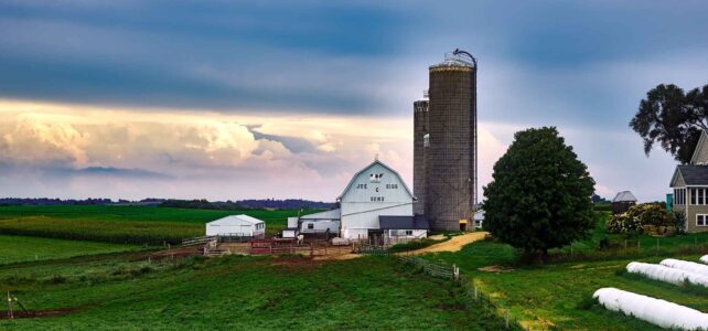 Silage techniques for wet spent grains